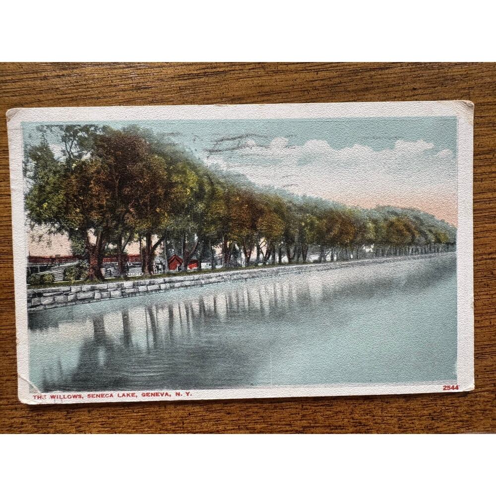 Vintage 1921 The Willows Seneca Lake Geneva NY Posted Postcard
